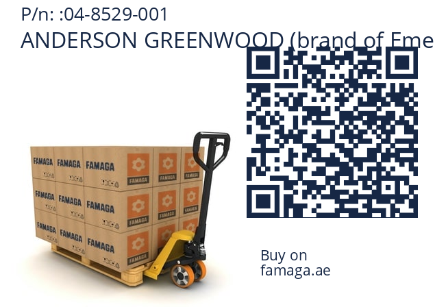   ANDERSON GREENWOOD (brand of Emerson) 04-8529-001