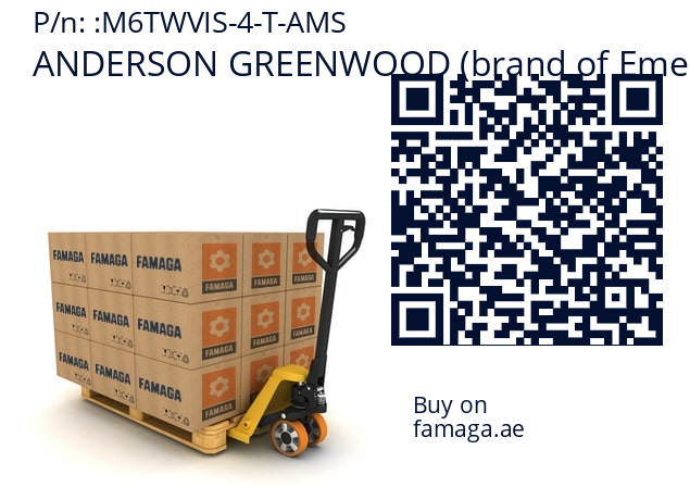   ANDERSON GREENWOOD (brand of Emerson) M6TWVIS-4-T-AMS