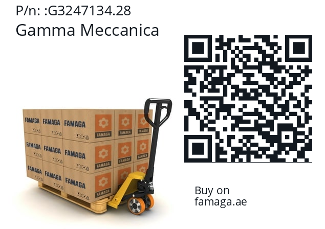   Gamma Meccanica G3247134.28